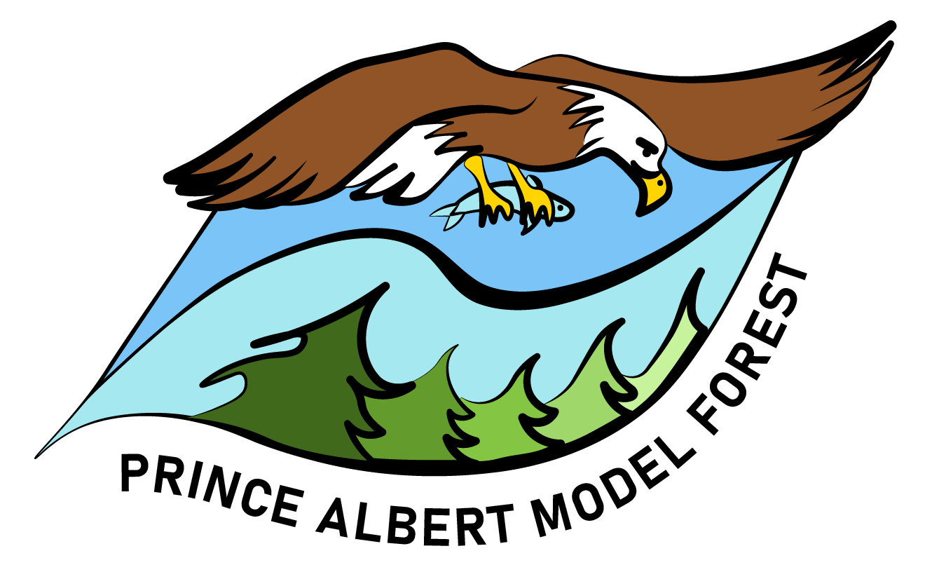 Prince Albert Model Forest Logo